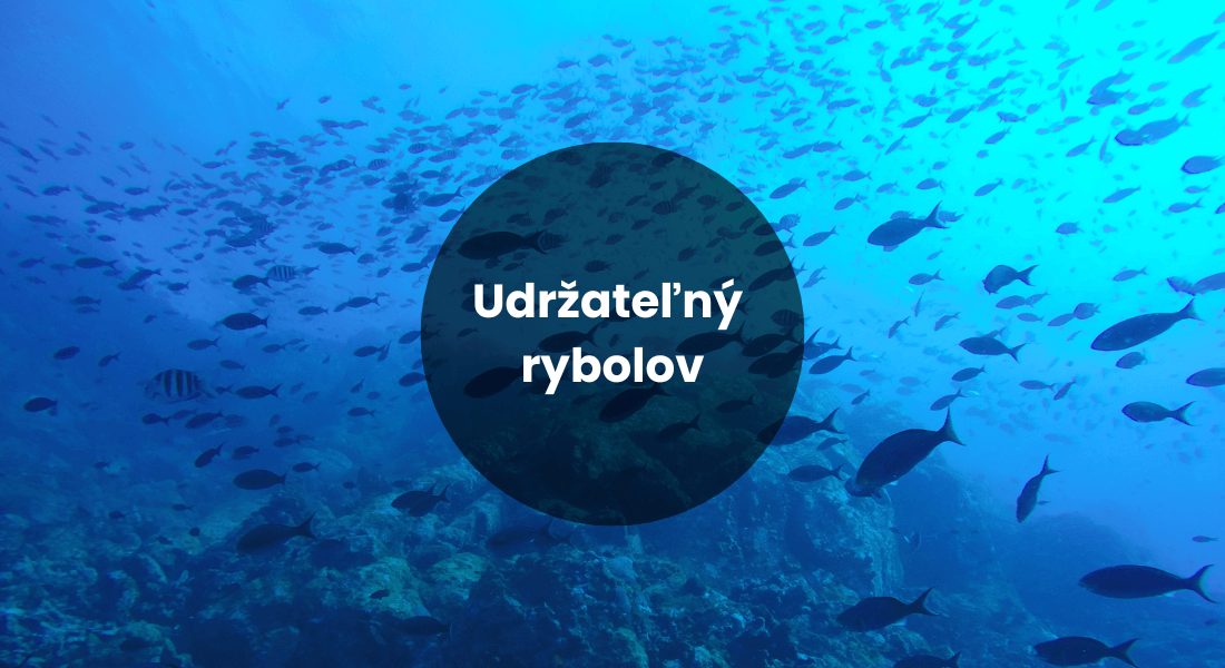 omega3 z ryb udrzatelny rybolov fjord